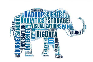 Big Data Services